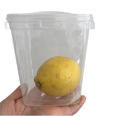 500 ml δοχείο για σάλτσα τροφίμων ασφαλές τετράγωνο πλαστικό κουβά με εύκολο άνοιγμα και IML εκτύπωση